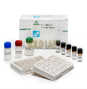 TESTE AGRAQUANT T-2 TOXINA ELISA 20-500 PPB Nº.POÇOS 96