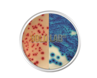 AGAR CROMOGÊNICO ESBL. FRASCO 500G